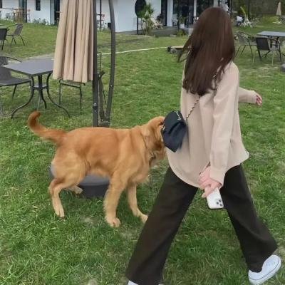 禁女