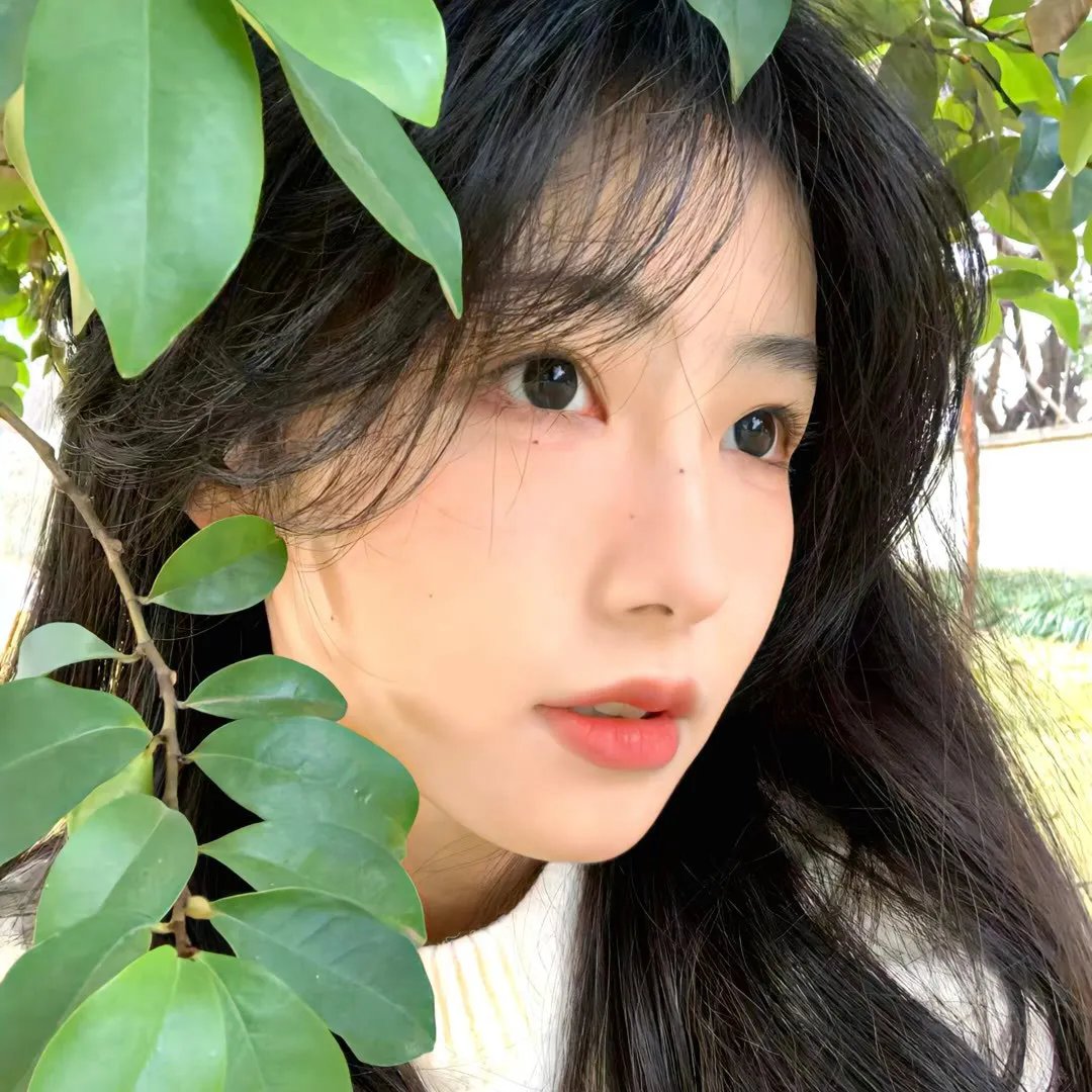 派对女孩